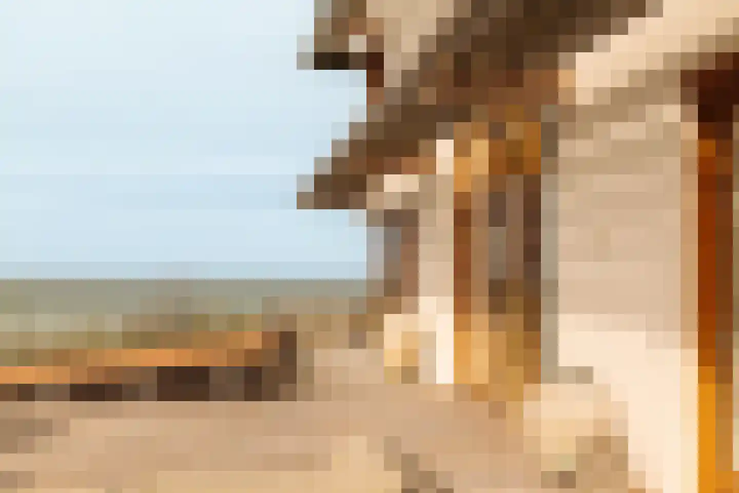 Boulevard Paulus Loot 103 Zandvoort thumbnail 40