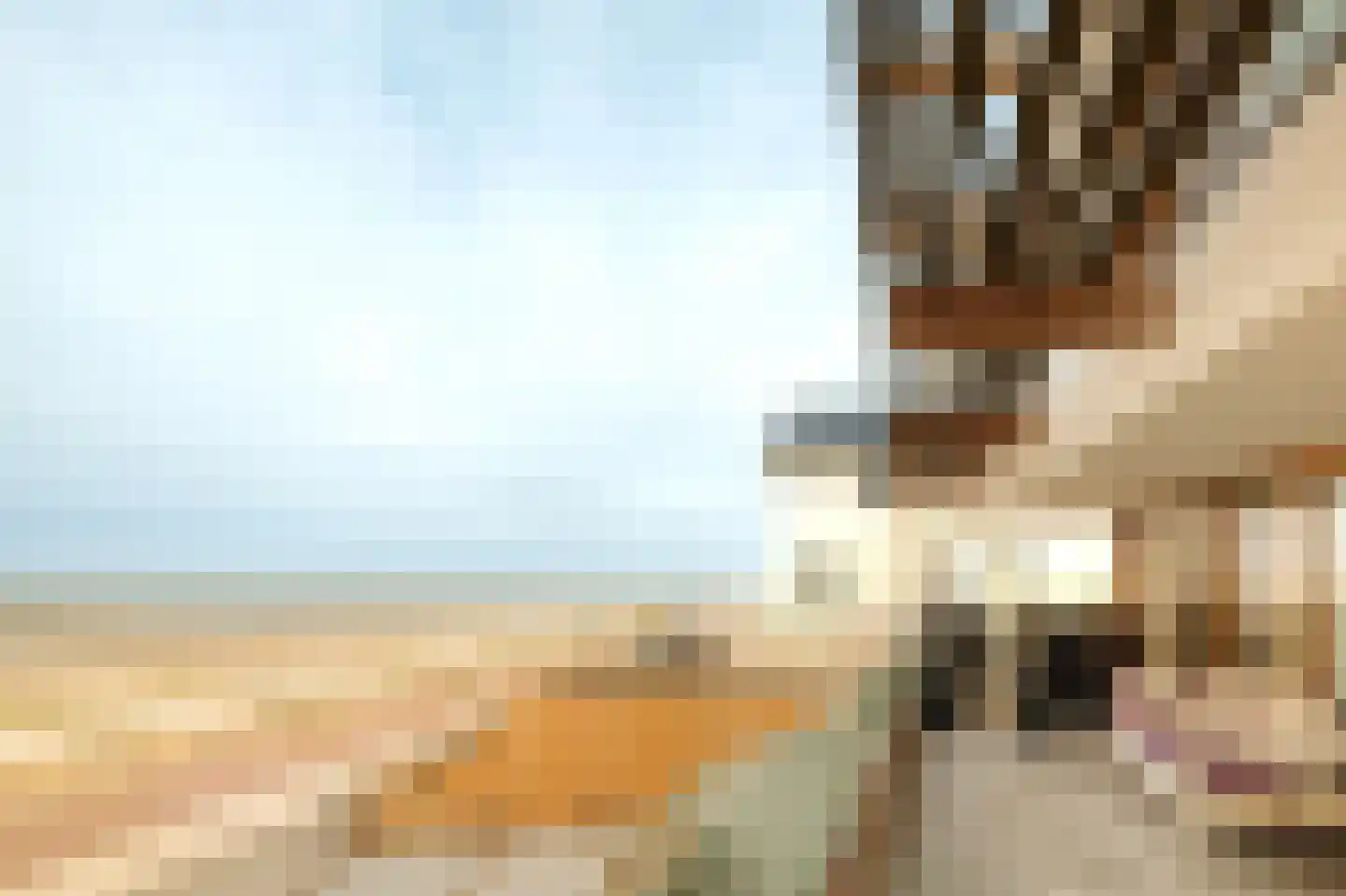 Boulevard Paulus Loot 103 Zandvoort thumbnail 5