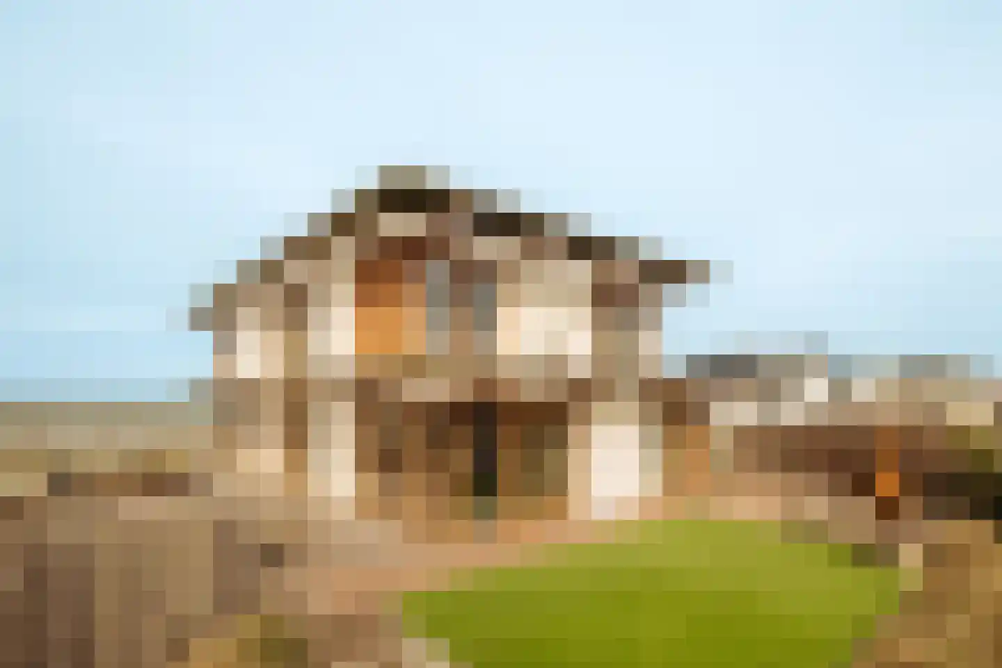 Boulevard Paulus Loot 103 Zandvoort thumbnail 56