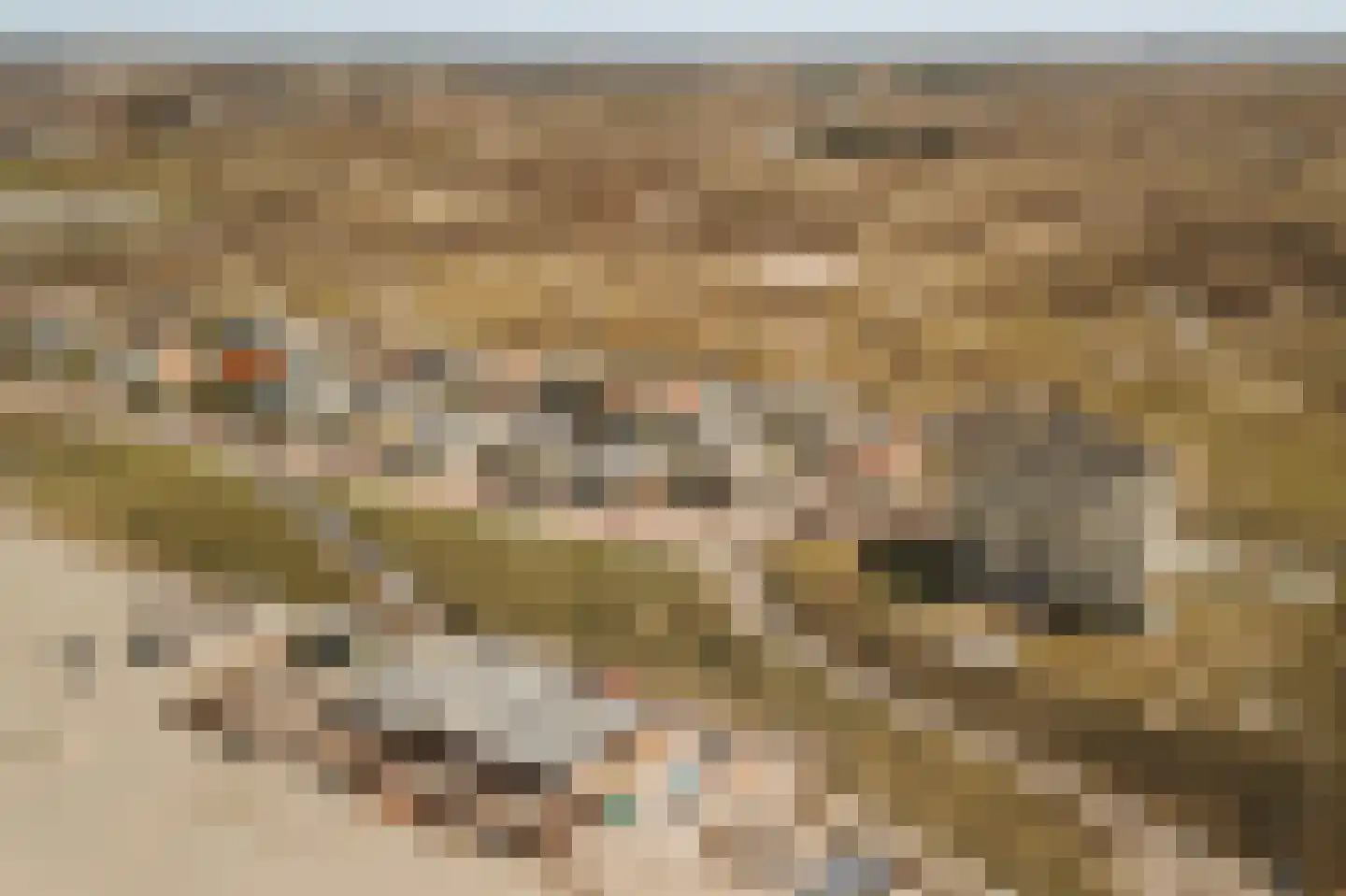 Boulevard Paulus Loot 103 Zandvoort thumbnail 57