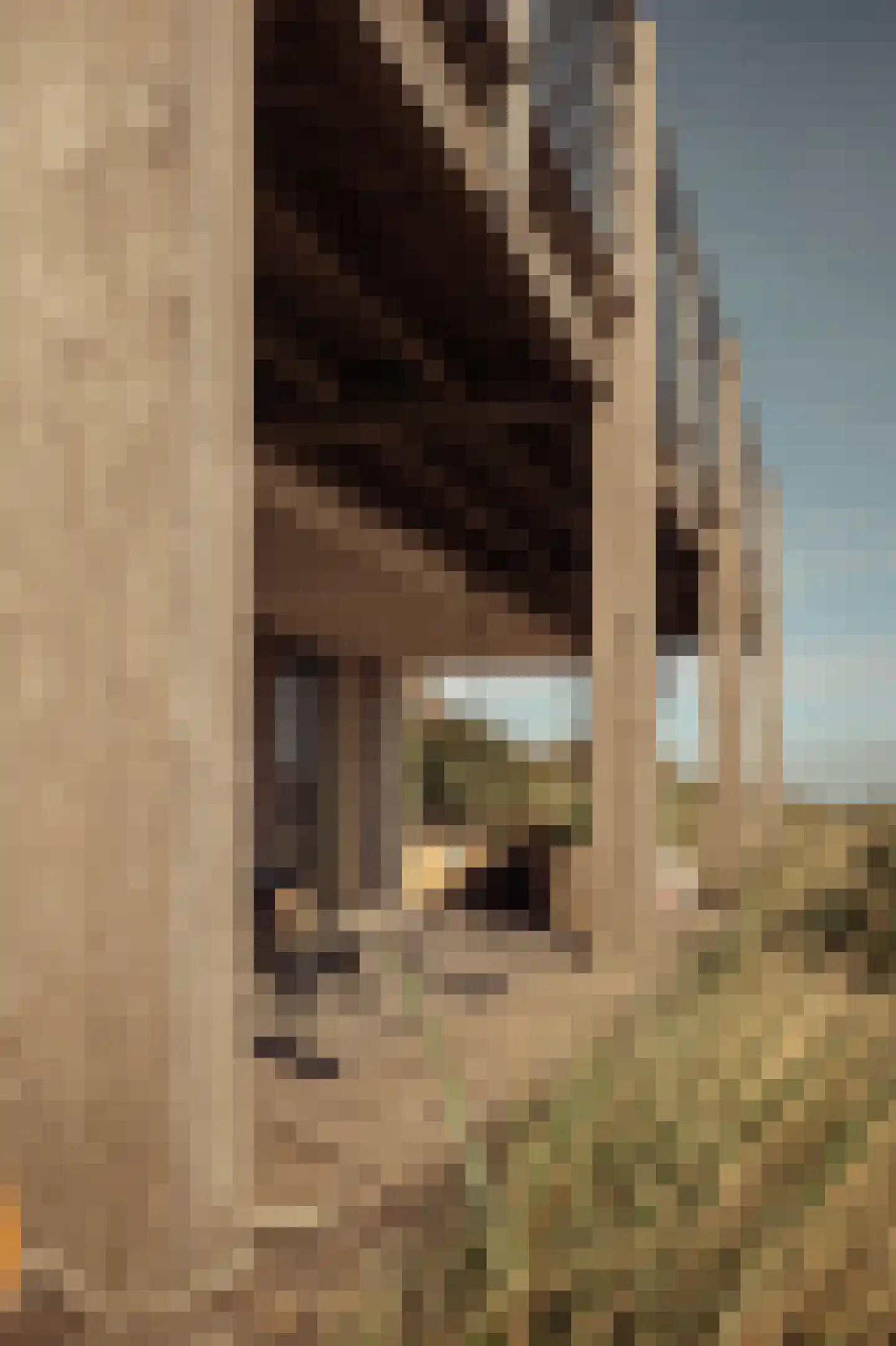 Boulevard Paulus Loot 73 Zandvoort thumbnail 14