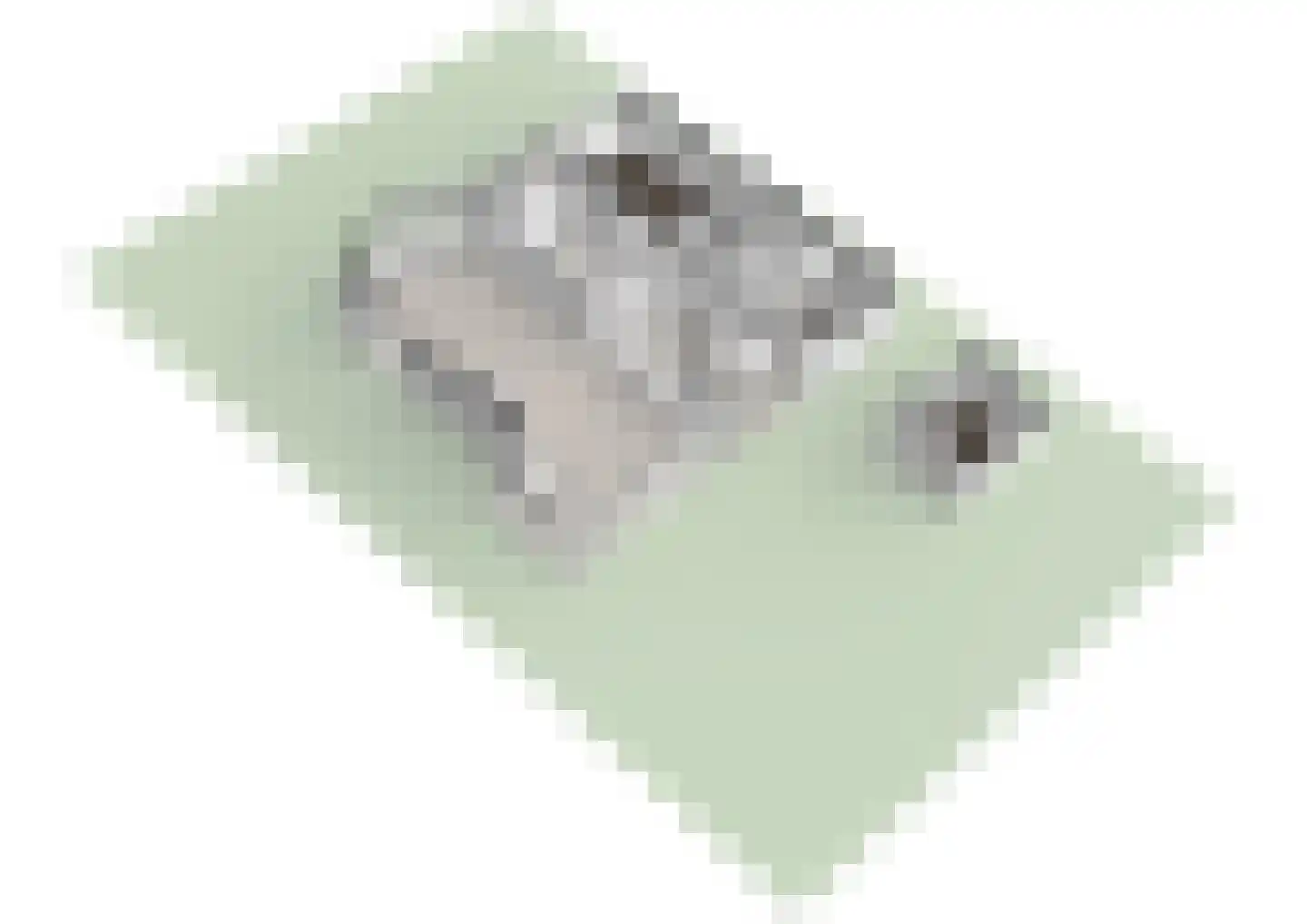 Boulevard Paulus Loot 93 Zandvoort thumbnail 73