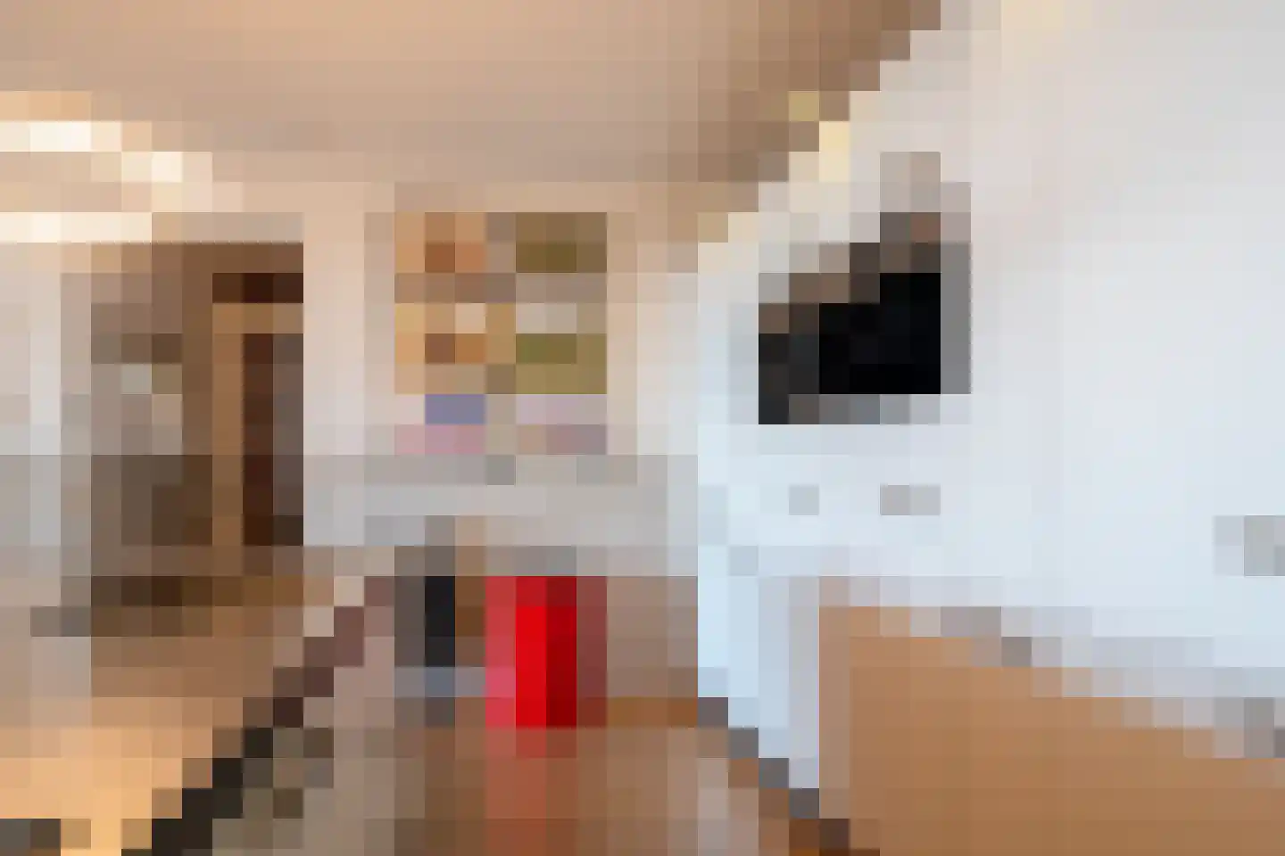Boumaboulevard 289 Groningen thumbnail 33