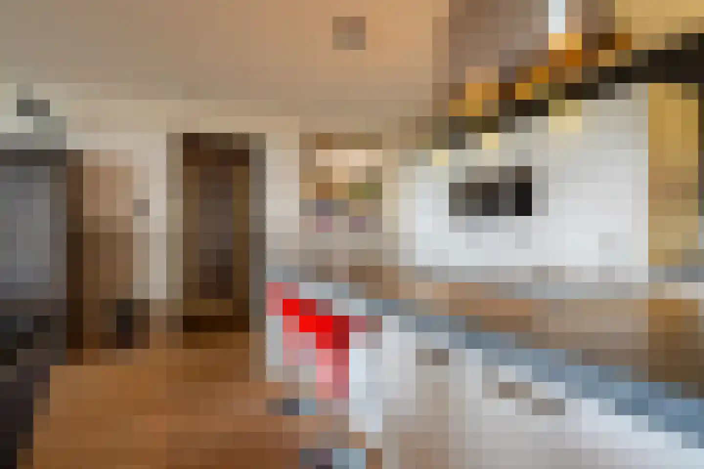 Boumaboulevard 289 Groningen thumbnail 42