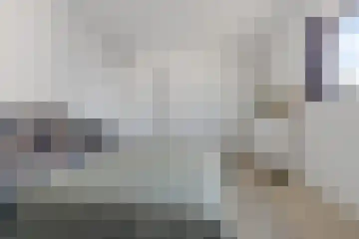 Boumaboulevard 373 Groningen thumbnail 37