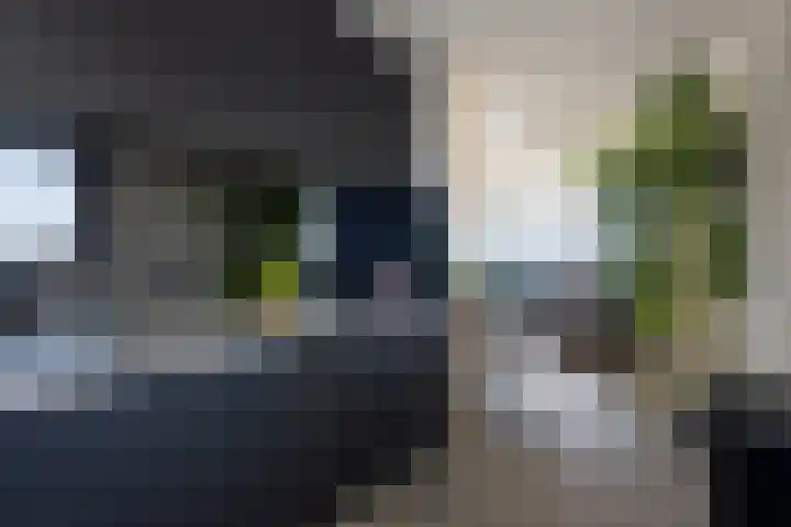 Boumaboulevard 373 Groningen thumbnail 4