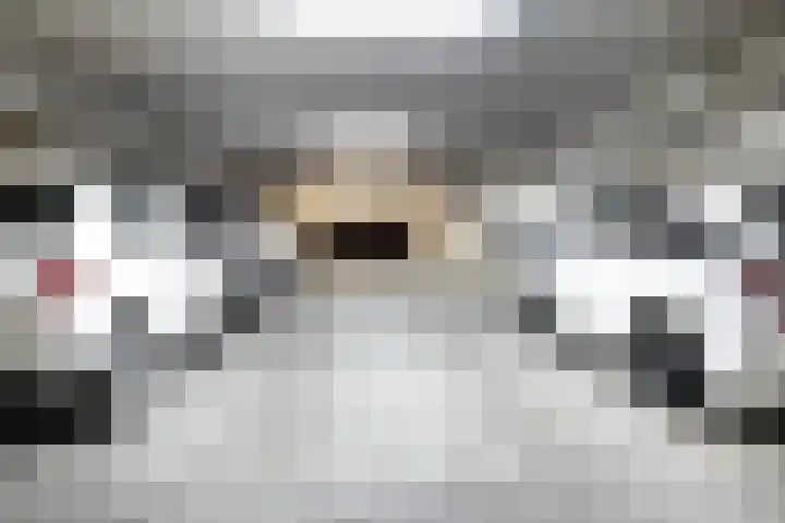 Boumaboulevard 399 Groningen thumbnail 25