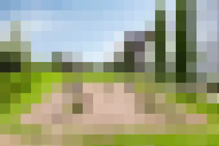 Boumaboulevard 399 Groningen thumbnail 26