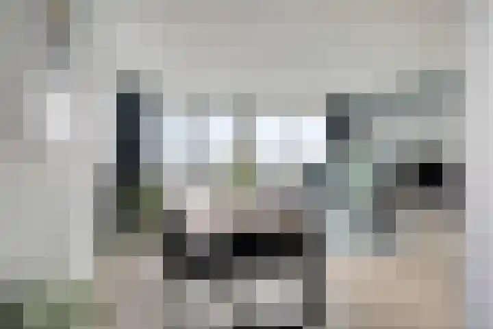 Boumaboulevard 415 Groningen thumbnail 25
