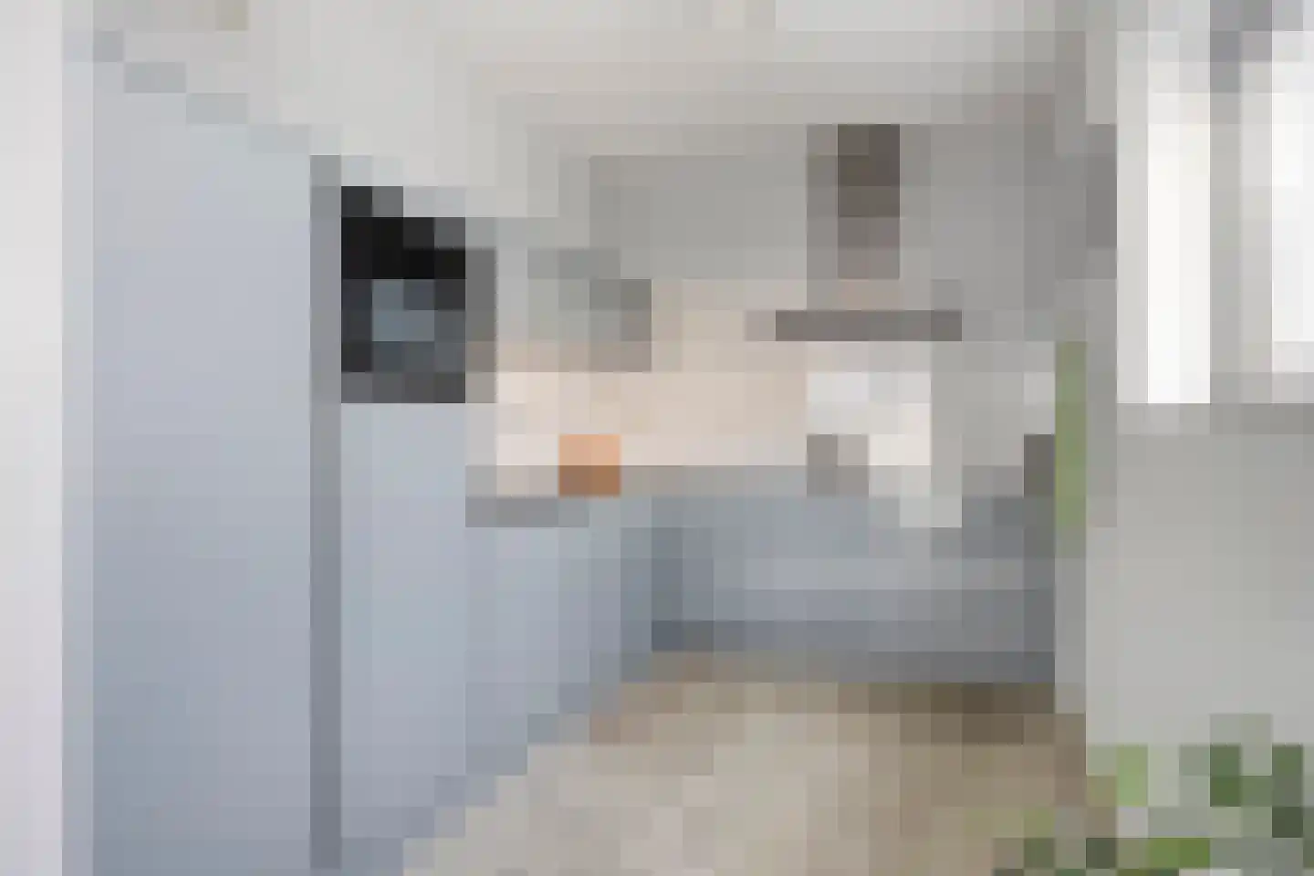 Boumaboulevard 415 Groningen thumbnail 26