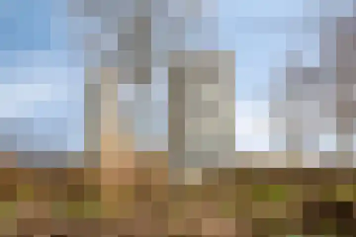 Boumaboulevard 415 Groningen thumbnail 4