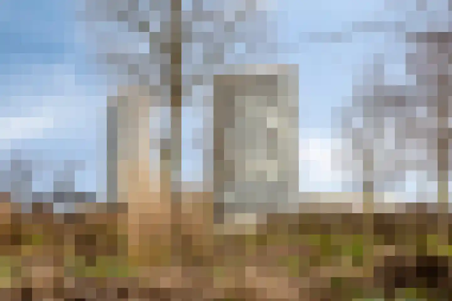 Boumaboulevard 415 Groningen thumbnail 4