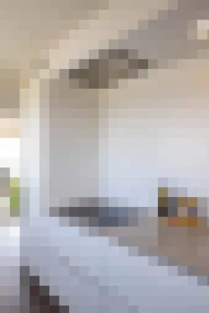 Boumaboulevard 477 Groningen thumbnail 12