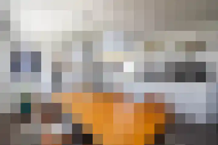 Boumaboulevard 477 Groningen thumbnail 8