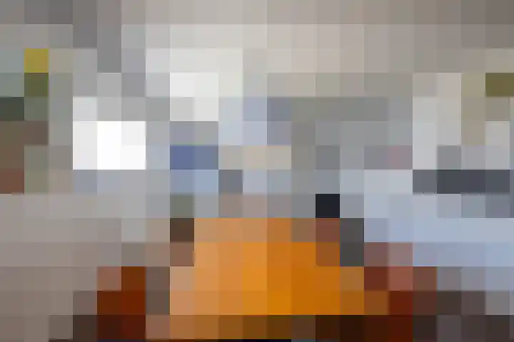 Boumaboulevard 477 Groningen thumbnail 9