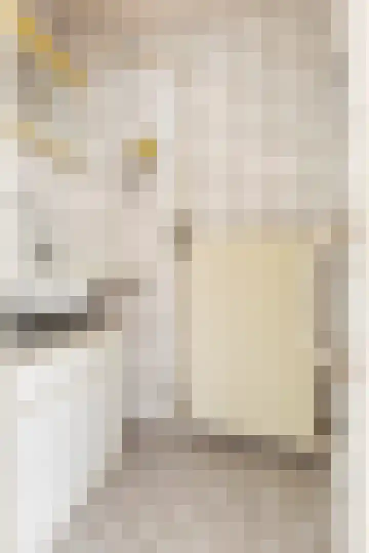 Boumanstraat 3 Groningen thumbnail 26