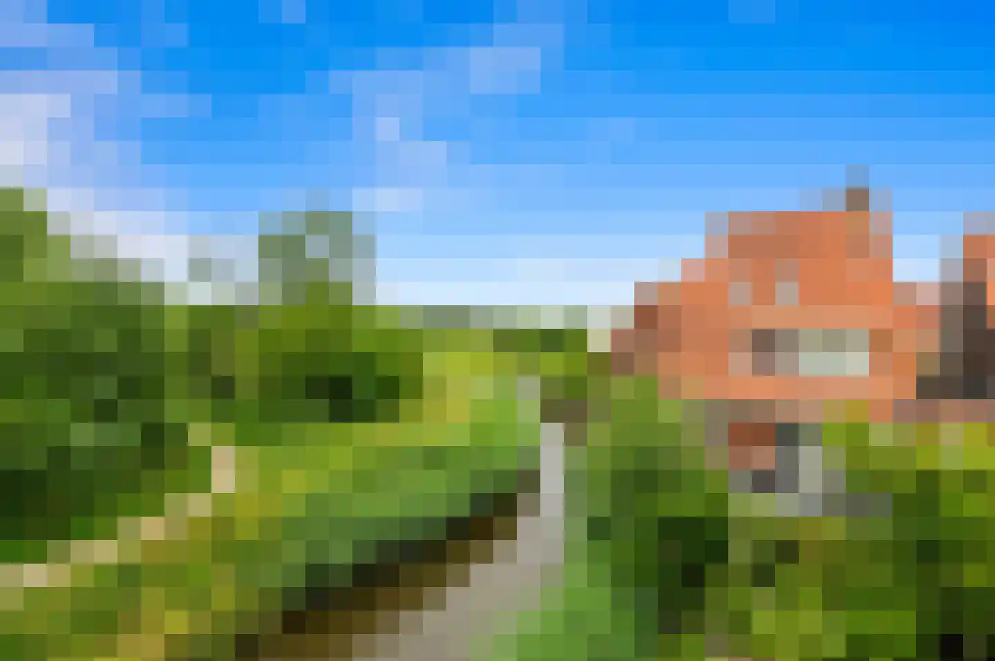 Boumare 120 Maasland thumbnail 20