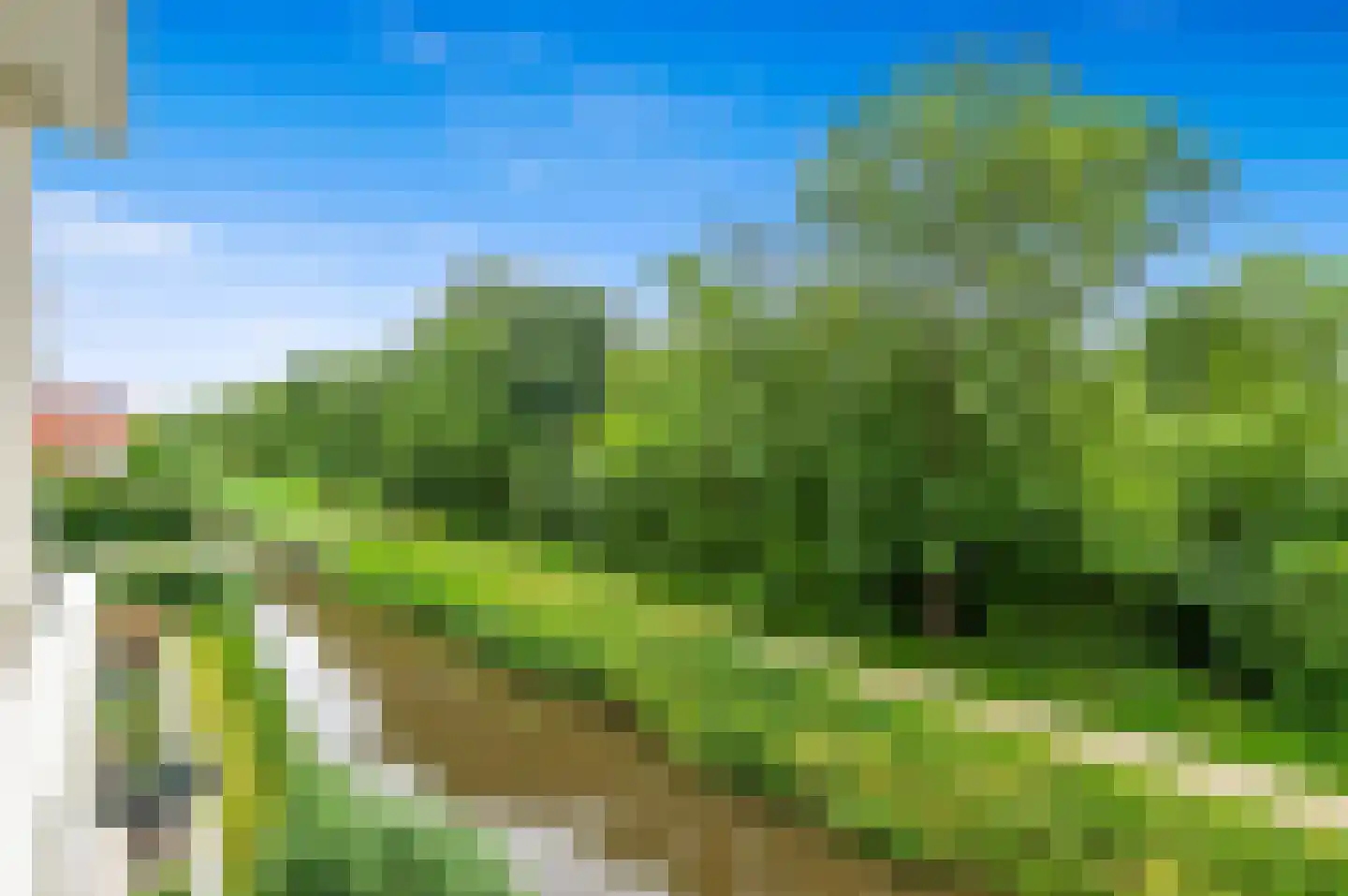 Boumare 120 Maasland thumbnail 21