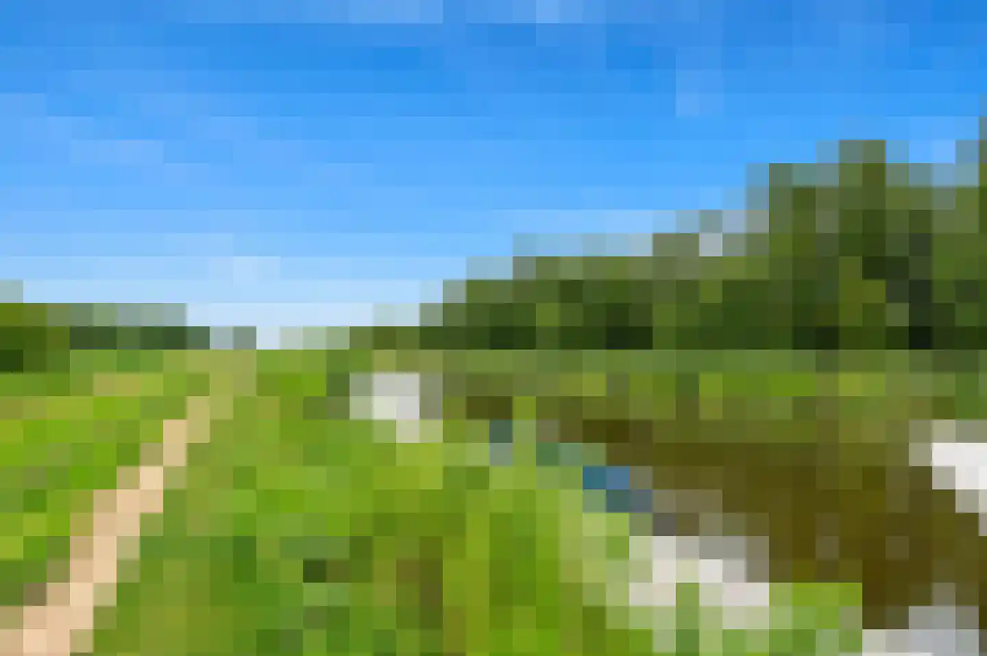 Boumare 120 Maasland thumbnail 44