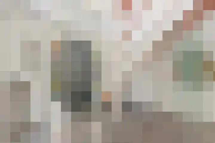 Boumare 152 Maasland thumbnail 17