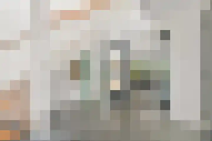Boumare 152 Maasland thumbnail 19