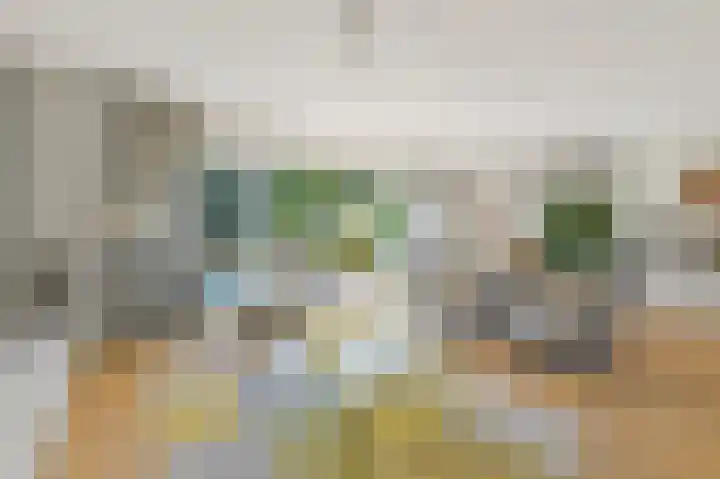 Boumare 152 Maasland thumbnail 22