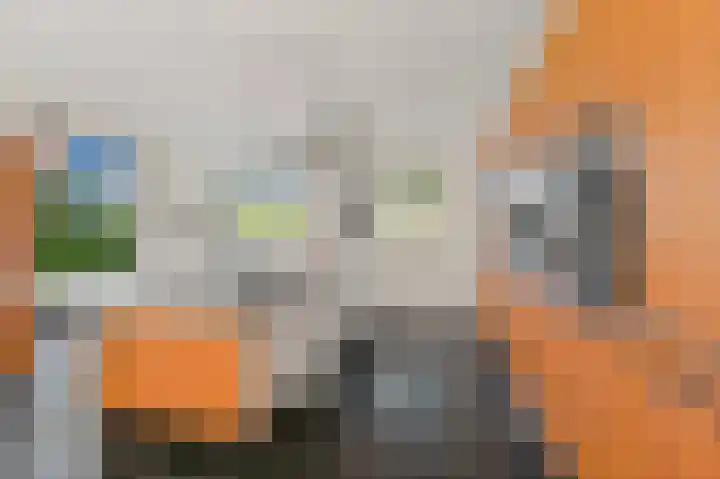 Boumare 152 Maasland thumbnail 36