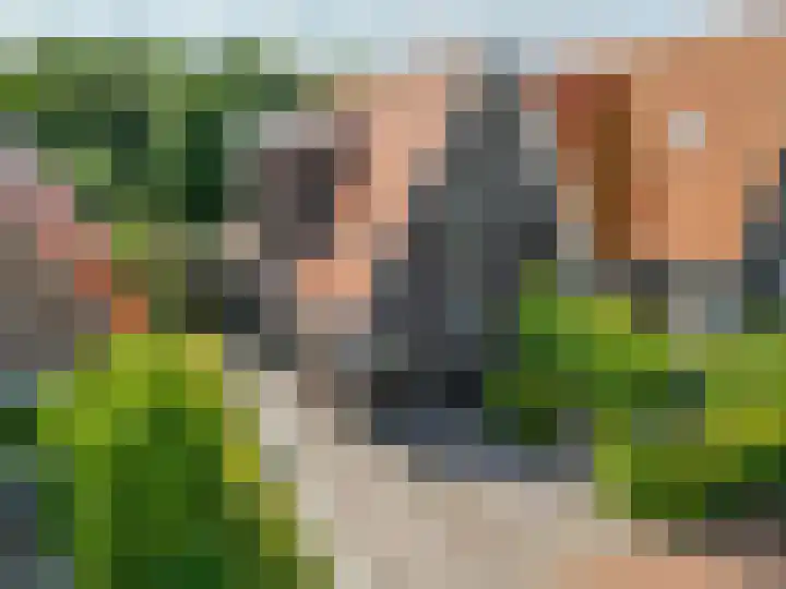 Boumare 152 Maasland thumbnail 4