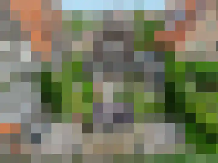 Boumare 152 Maasland thumbnail 7