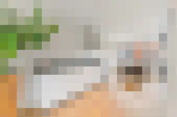 Boumare 7 Maasland thumbnail 12
