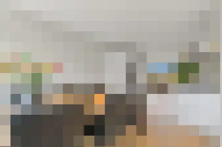 Boumare 7 Maasland thumbnail 15