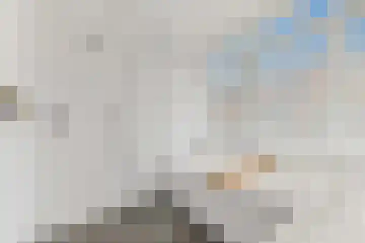 Boumare 7 Maasland thumbnail 20