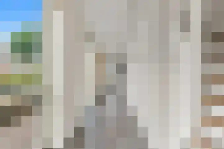 Boumare 7 Maasland thumbnail 26