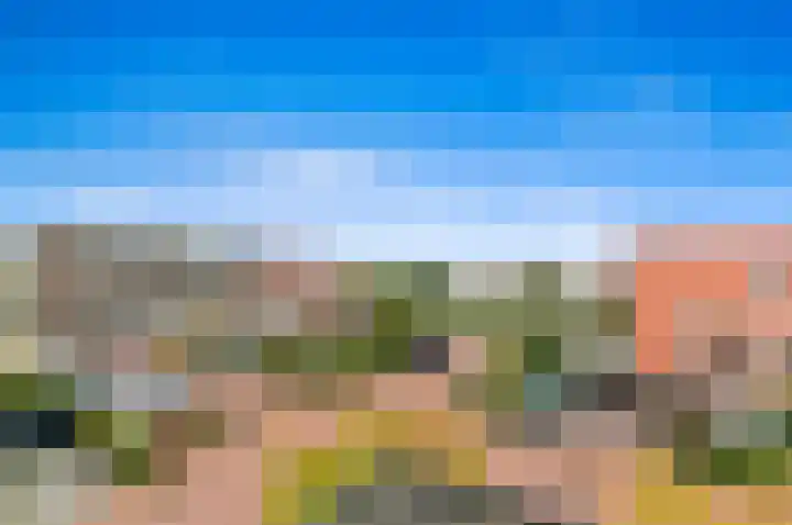 Boumare 7 Maasland thumbnail 39