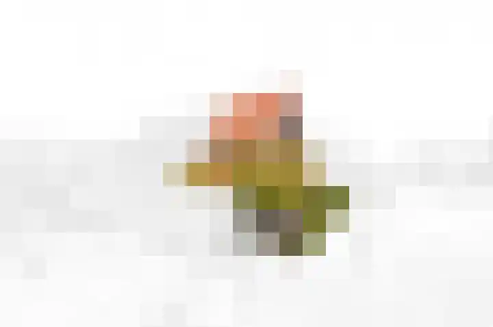 Boumare 7 Maasland thumbnail 5
