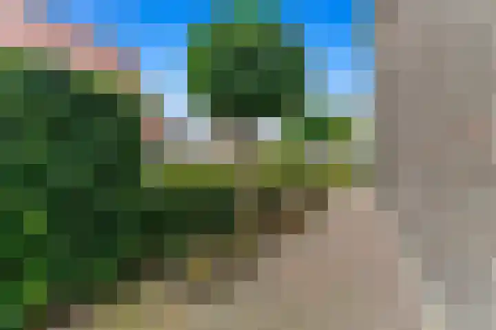 Boumare 7 Maasland thumbnail 8