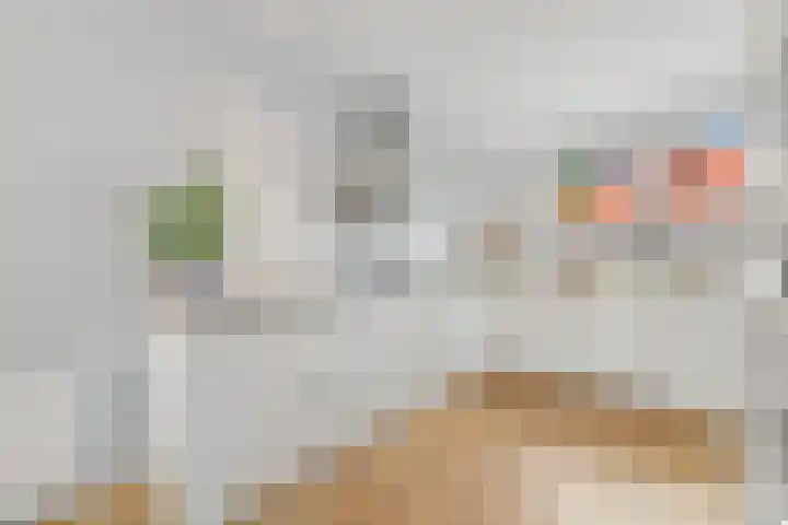 Boumare 80 Maasland thumbnail 11