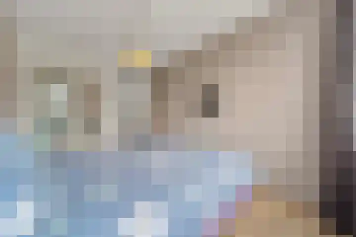 Boumare 80 Maasland thumbnail 19
