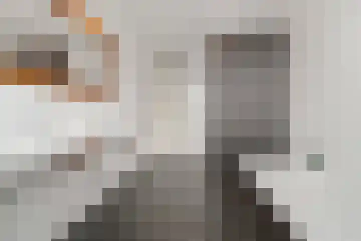 Boumare 80 Maasland thumbnail 22