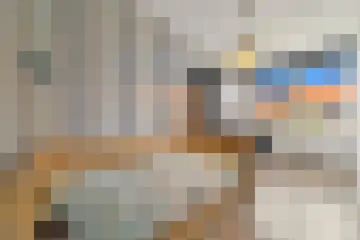 Boumare 80 Maasland thumbnail 25