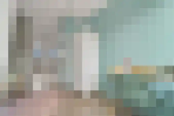 Boumare 80 Maasland thumbnail 27