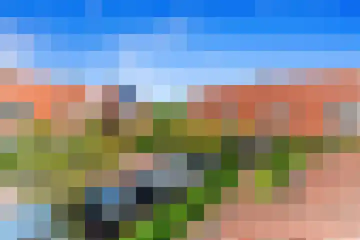 Boumare 80 Maasland thumbnail 29