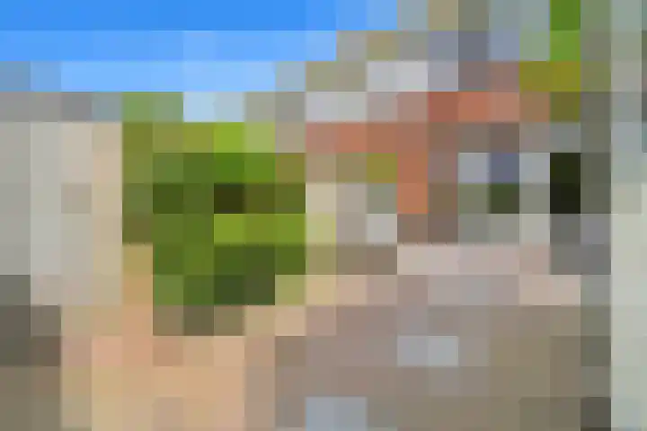 Boumare 80 Maasland thumbnail 6