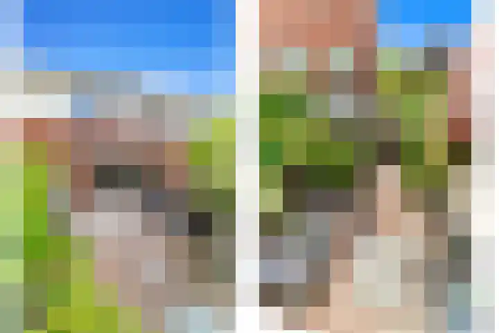 Boumare 80 Maasland thumbnail 7
