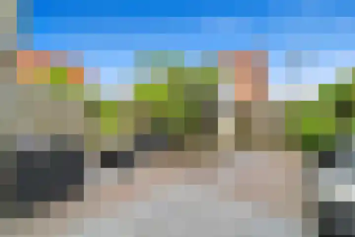 Boumare 80 Maasland thumbnail 8