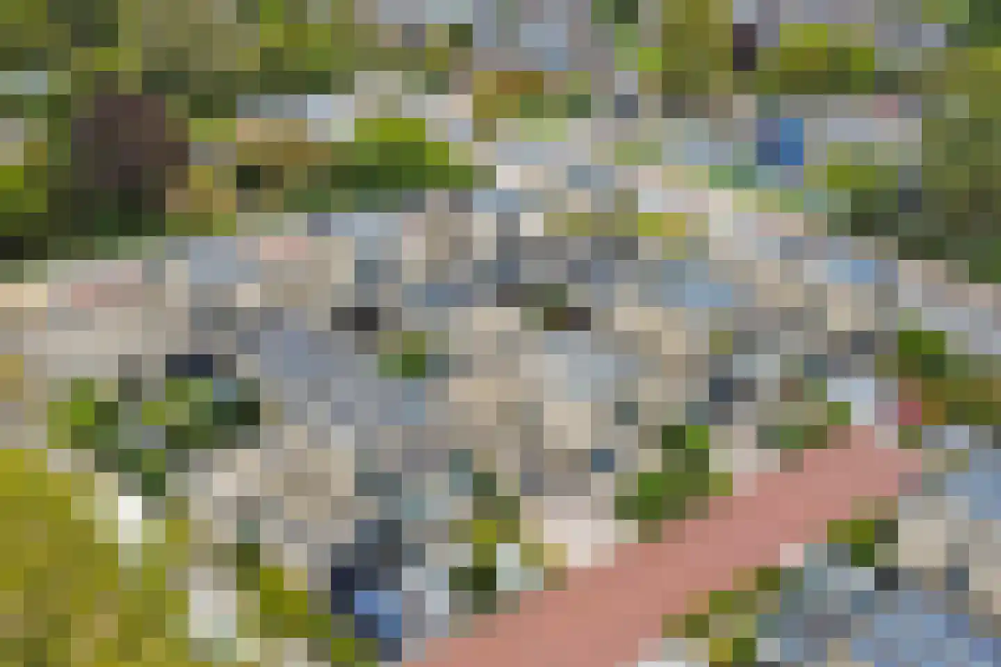 Bouquet 31 Zwijndrecht thumbnail 51