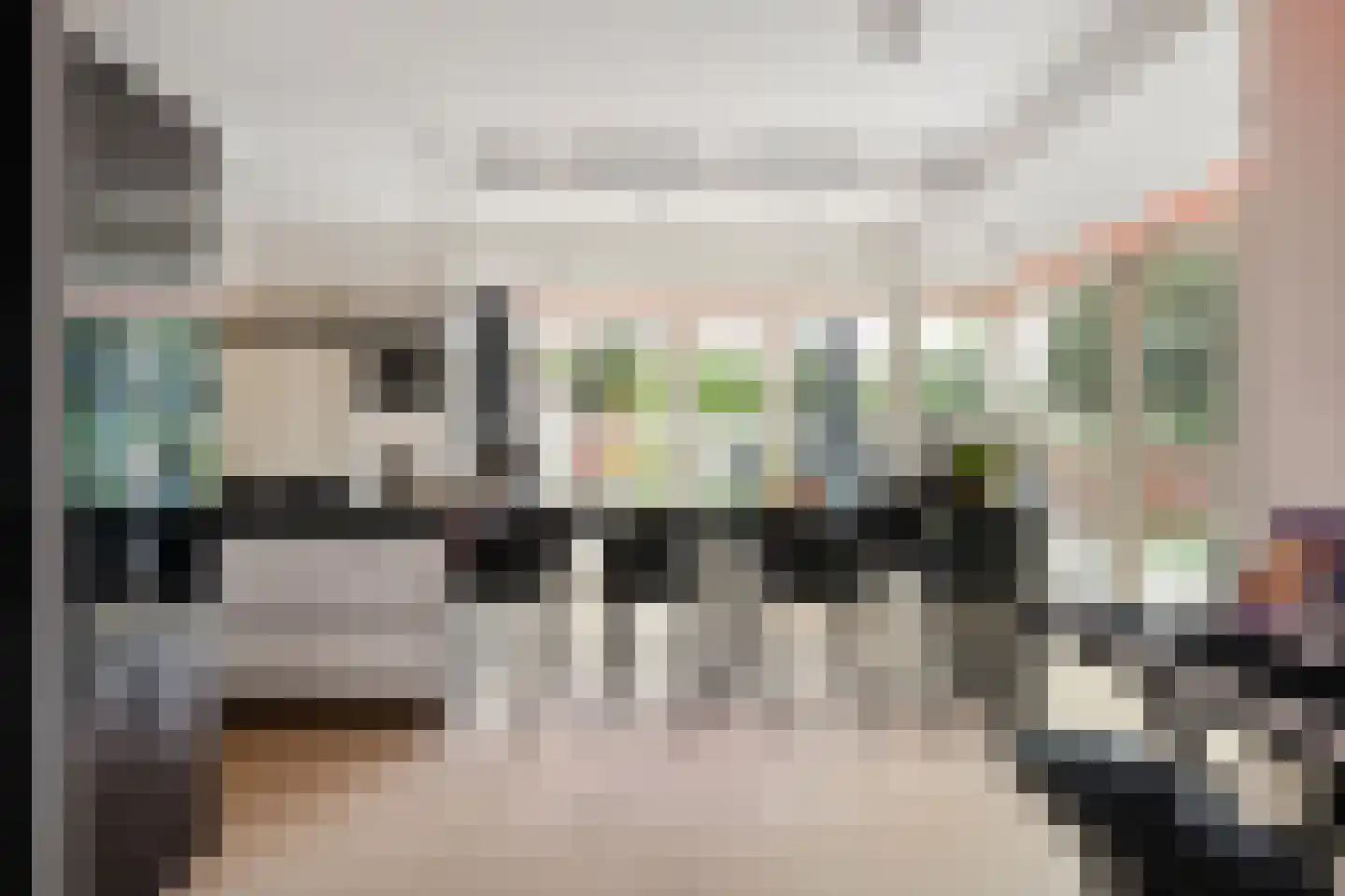 Bourbonhof 25 Dordrecht thumbnail 16