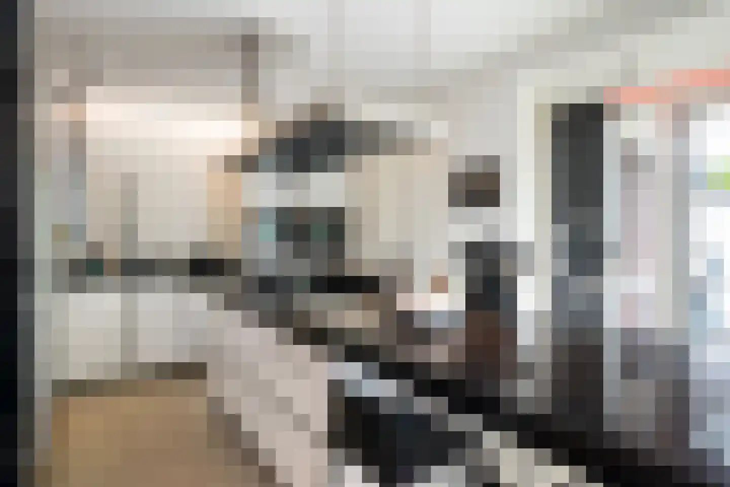 Bourbonhof 25 Dordrecht thumbnail 19