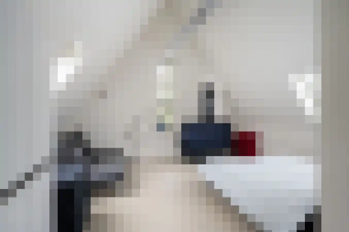 Bourbonhof 25 Dordrecht thumbnail 47