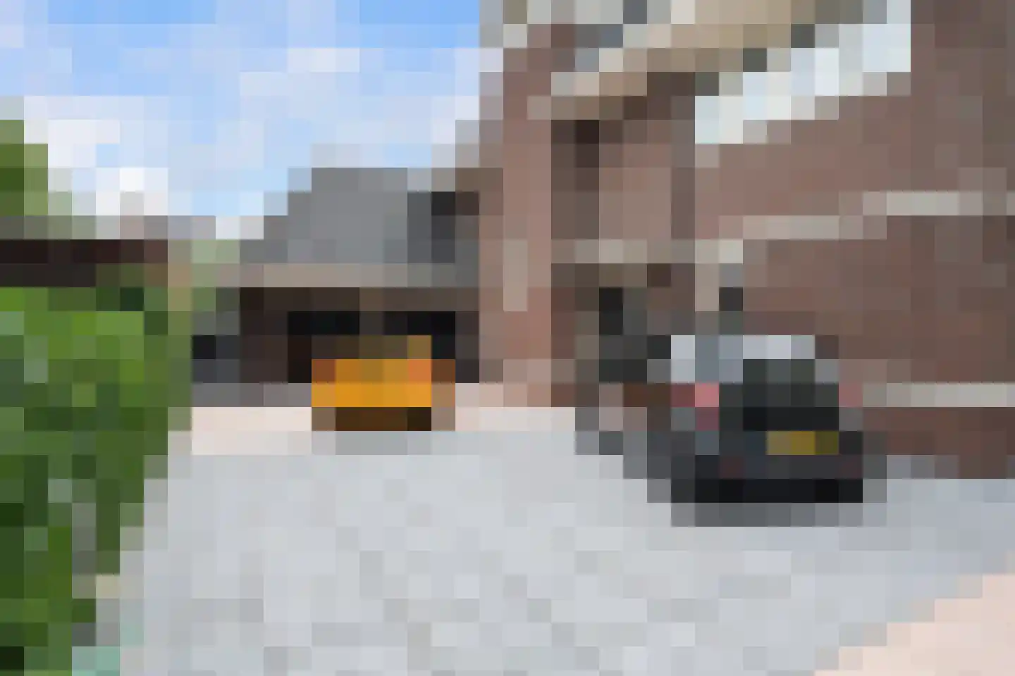 Bourbonhof 25 Dordrecht thumbnail 61